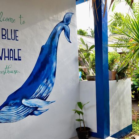 Blue Whale Guesthouse Gili Trawangan Exteriér fotografie