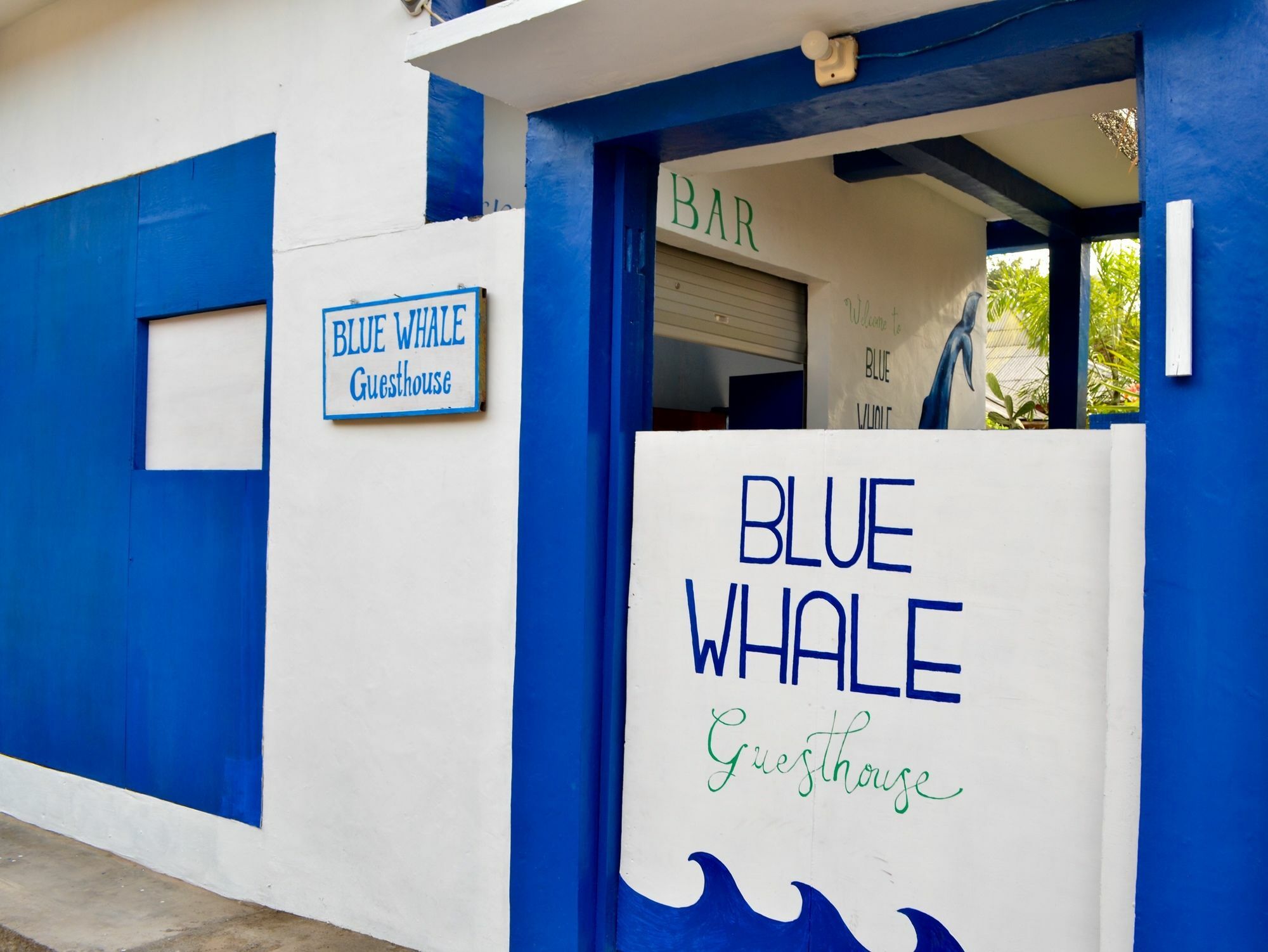 Blue Whale Guesthouse Gili Trawangan Exteriér fotografie